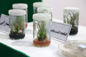 افتتاح نمایشگاه دستاوردهای پژوهشی و فناوری ۱۴۰۰ خوزستان