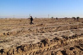آغاز عملیات اجرایی طرح ۲۰۰۰ هکتاری بیابانزدایی در خوزستان
