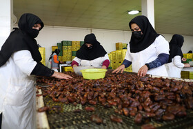 سفر وزیر صنعت، معدن و تجارت به خوزستان