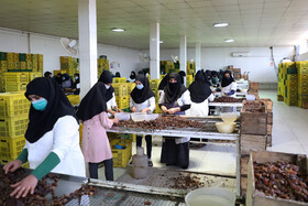 سفر وزیر صنعت، معدن و تجارت به خوزستان