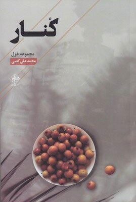 شاعر خوزستانی برگزیده پنجمین جشنواره بینالمللی شعر اشراق