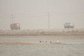 روز جهانی تالاب‌ها: هورالعظیم، پناهگاه حیات وحش