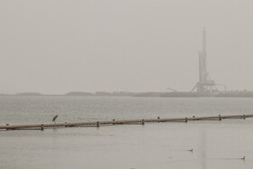 روز جهانی تالاب‌ها: هورالعظیم، پناهگاه حیات وحش