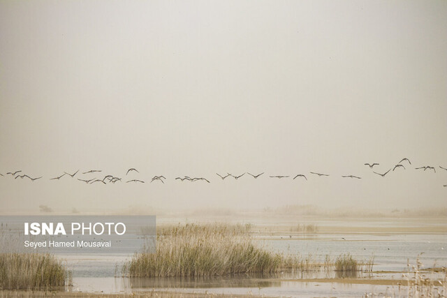 تالاب هورالعظیم در دشت آزادگان هوای سوسنگرد در وضعیت نارنجی