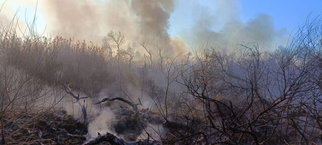 مهار حریق در پارک ملی کرخه مهار حریق در اراضی جنگلی و علفزارهای پارک ملی کرخه