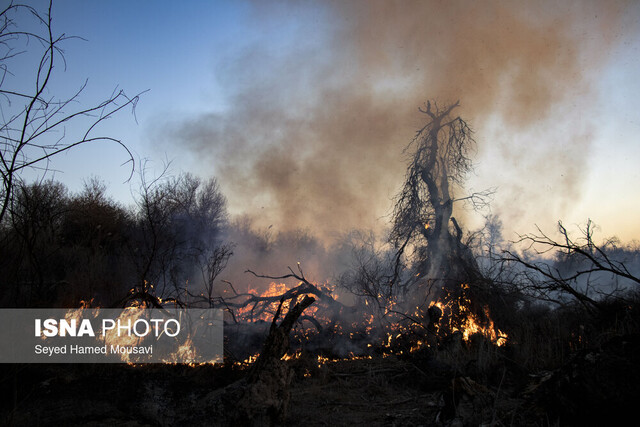 عکس از آرشیو پیشبینی افزایش آتشسوزیهای ناشی از خشکسالی در جنگلهای زاگرسی خوزستان