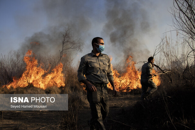 آتش سوزی در پارک ملی کرخه / عکس از آرشیو پارک ملی "کرخه" سال سختی در پیش دارد