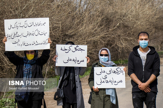 لوله‌کشی در مرز آخرین بازمانده جنگل‌های نیمه گرمسیری دنیا...! 