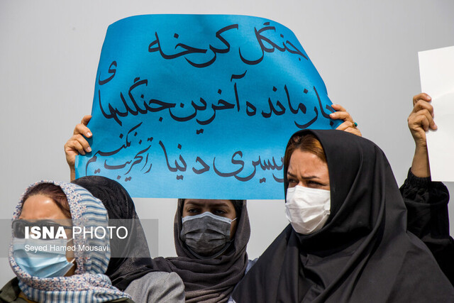 لولهکشی در مرز آخرین بازمانده جنگلهای نیمه گرمسیری دنیا...!