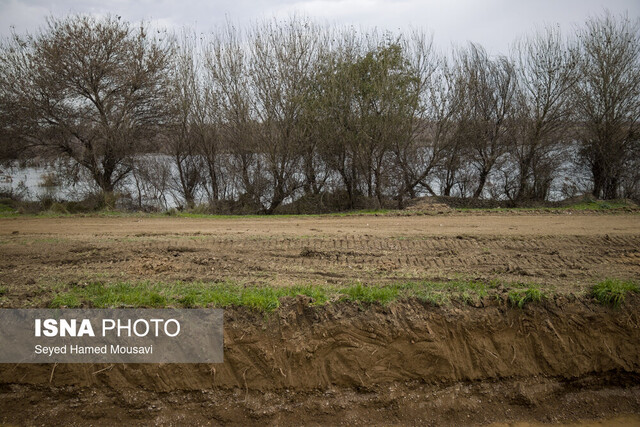 فعلا عبور خط لوله غدیر از پارک ملی کرخه متوقف شده است