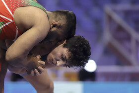 چهل‌ودومین دوره رقابت‌های کشتی فرنگی بین‌المللی جام تختی در اهواز