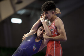 چهل‌ودومین دوره رقابت‌های کشتی فرنگی بین‌المللی جام تختی در اهواز