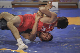 چهل‌ودومین دوره رقابت‌های کشتی فرنگی بین‌المللی جام تختی در اهواز