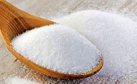 پیش‌بینی تولید حدود ۵۵۰ هزار تن شکر در خوزستان