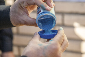 واکسیناسیون طیور بومی استان خورستان علیه بیماری نیوکاسل