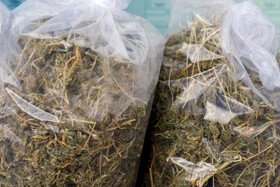 رونمایی از کشفیات سلاح غیرمجاز و مواد مخدر فرماندهی انتظامی استان خوزستان