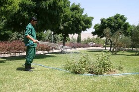 استفاده از فضاهای تفریحی خشک برای افزایش سرانه فضای سبز در کرمان
