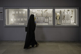 مراسم رونمایی از موزه هفت تپه 《ایلام روایت نو》