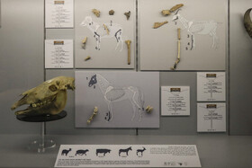 مراسم رونمایی از موزه هفت تپه 《ایلام روایت نو》