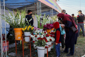 آخرین پنجشنبه سال در آرامستان اهواز