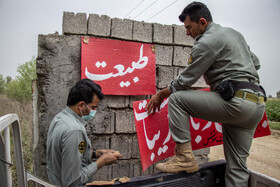 پارک ملی کرخه در ایام نوروز