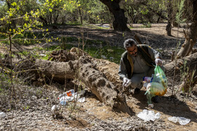 پارک ملی کرخه در ایام نوروز