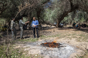 پارک ملی کرخه در ایام نوروز