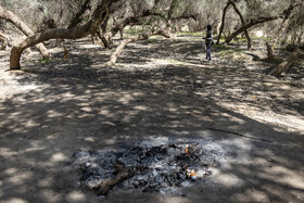 پارک ملی کرخه در ایام نوروز