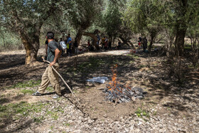 پارک ملی کرخه در ایام نوروز