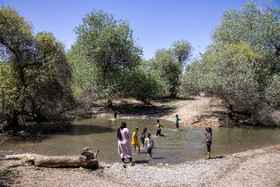 پارک ملی کرخه در ایام نوروز