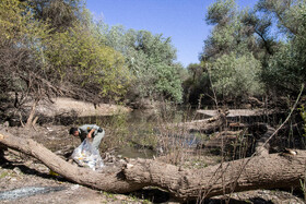 پارک ملی کرخه در ایام نوروز