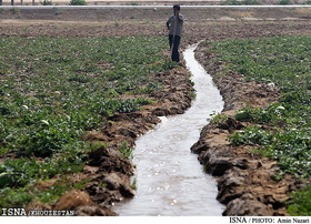 اعطای کمک‌های ویژه به کشاورزانی که محصول کم آب کشت کنند