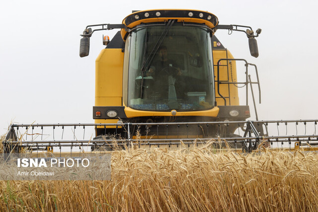 تأمین امنیت غذایی کشور درگرو دانش‌بنیان کردن کشاورزی است