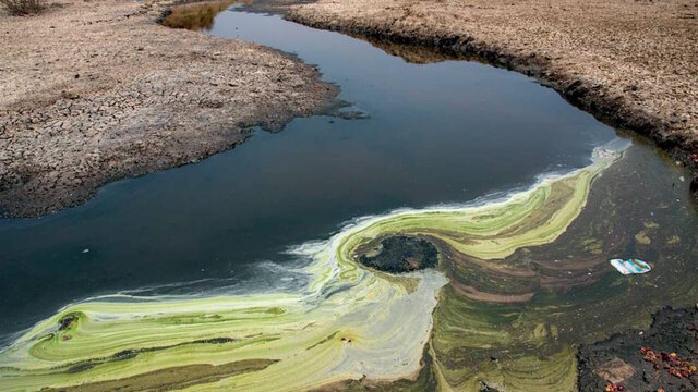 عکس تزئینی است. خوریات خوزستان به شدت به "جیوه" آلودهاند / مردم ماهشهر تحت تاثیر آلودگی پتروشیمی