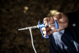 طرح واکسیناسیون عمومی دام‌های سبک و سنگین در حوضه آبریز کرخه