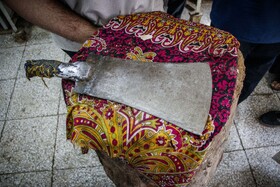 پلمب واحدهای عرضه گوشت غیر مجاز در حاشیه اهواز