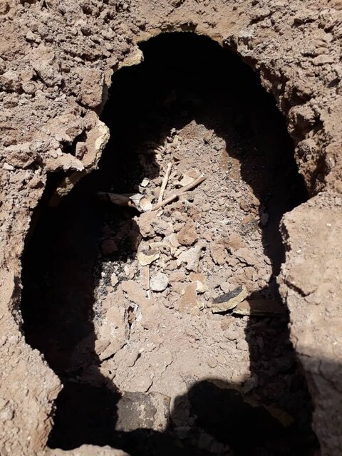 گورخمرههای نویافته اهواز به موزه منطقهای خوزستان منتقل میشوند