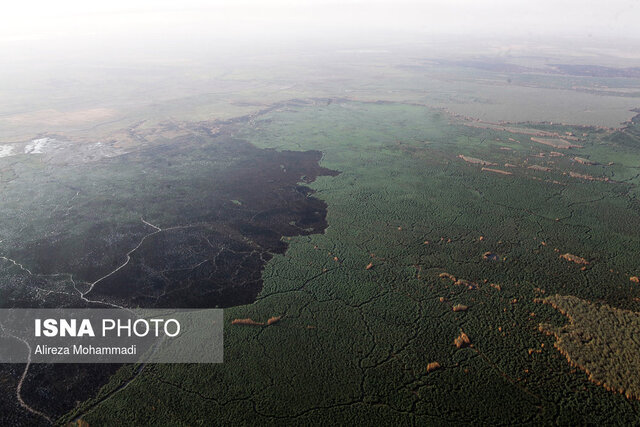آتش سوزی در هورالعظیم ادامه آتشسوزی در بخش عراقی هورالعظیم / احتمال حرکت دوباره دود به سمت خوزستان