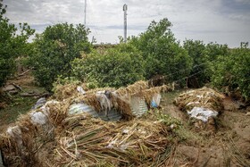 شهرستان باغملک پس از سیل - خوزستان