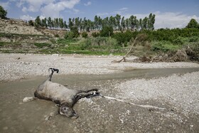 شهرستان باغملک پس از سیل - خوزستان