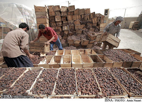 تخصیص سرمایه در گردش به کارگاهداران برای خرید توافقی خرما تخصیص سرمایه در گردش به کارگاهداران برای خرید توافقی خرما