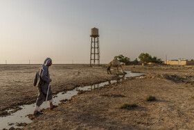 در شرایطی که استان خوزستان با خشکسالی های پیاپی، کم آبی، افزایش سطح بیابان‌ها و کاهش مراتع دست وپنجه نرم می‌کند باید به دنبال پرورش حیواناتی بود که با شرایط آب و هوایی استان سازگاری دارند.