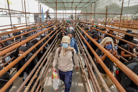 عبور زائران اربعین حسینی از مرز شلمچه