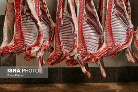 تولید ۷۰۰۰ تن گوشت قرمز در کوار