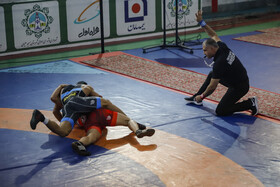 نایب‌قهرمانی فولاد در اولین حضور در لیگ برتر کشتی فرنگی