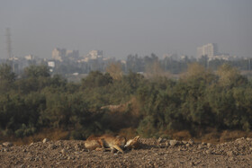 آلودگی هوا در اهواز