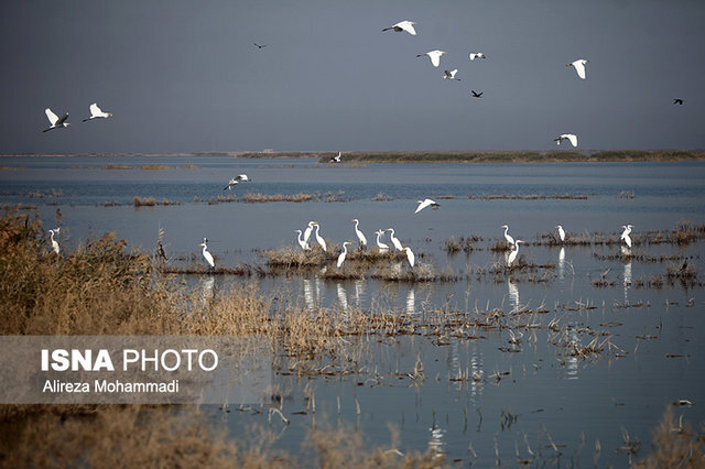 همه آنچه که برای توسعه گردشگری آبی خوزستان انجام شده است