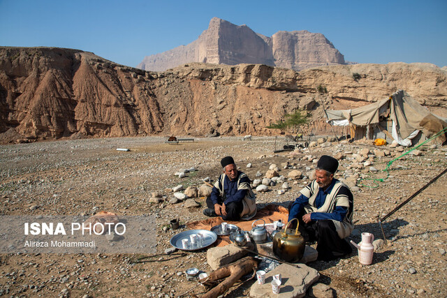 عکس تزیینی است تولید بیش از ۳ هزار تن گوشت قرمز توسط عشایر در هرمزگان