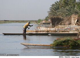 شناسایی مسیرهای گردشگری تالاب هورالعظیم در دستور کار