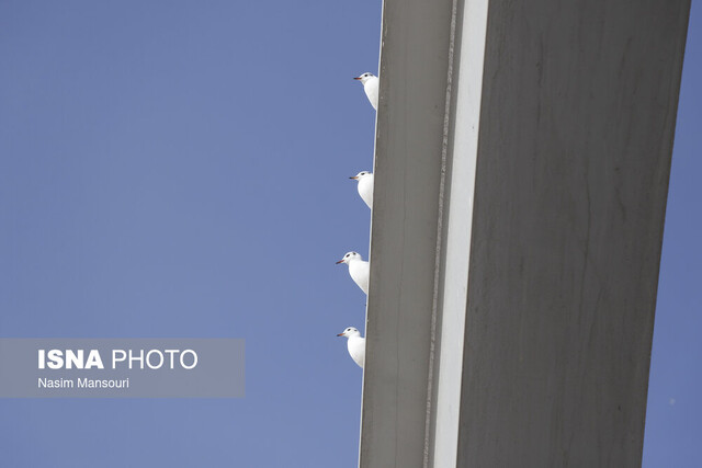 عکس از آرشیو هوای قابل قبول چهار شهر خوزستان